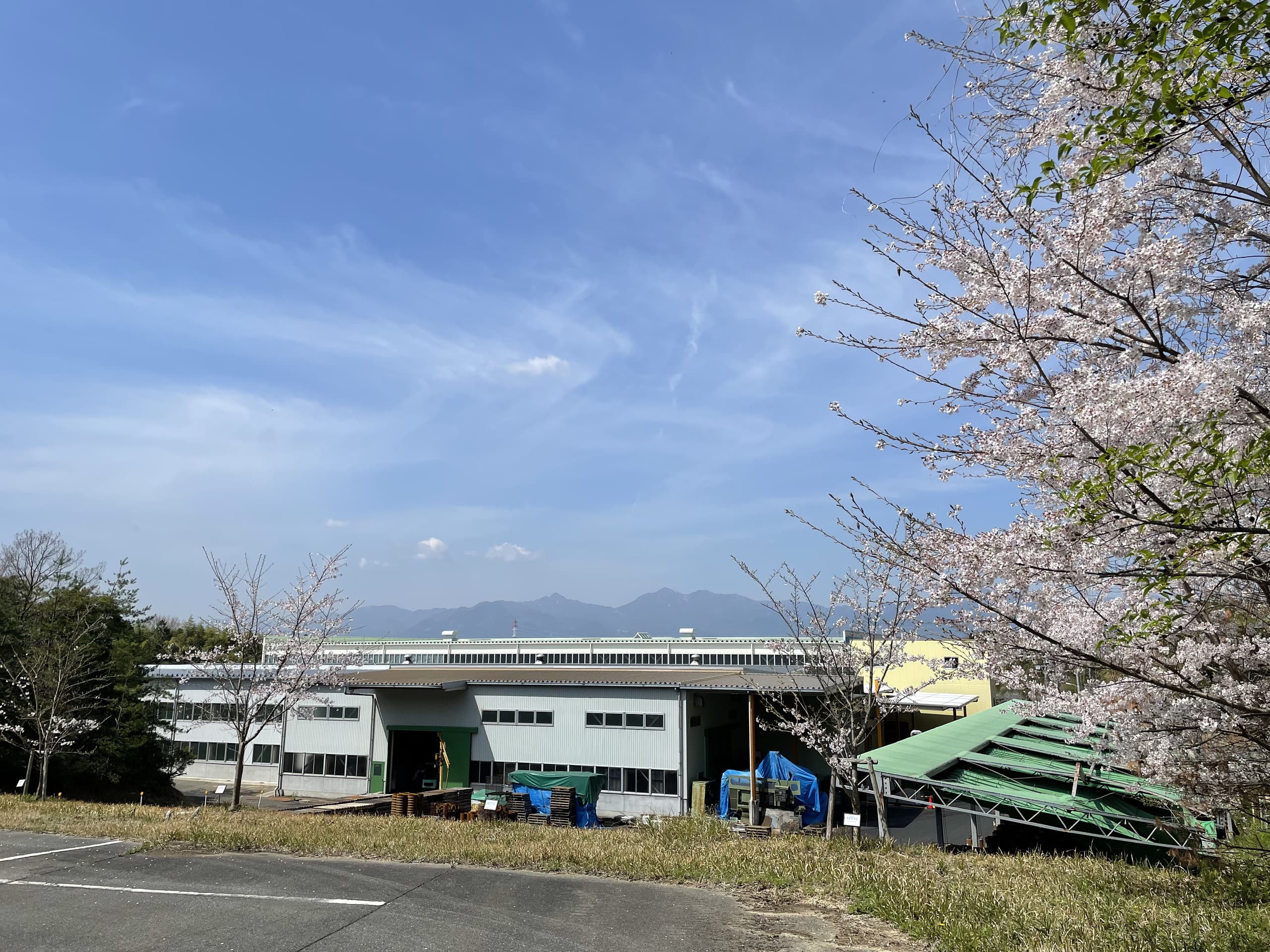 otaseiko_billboard.jpg